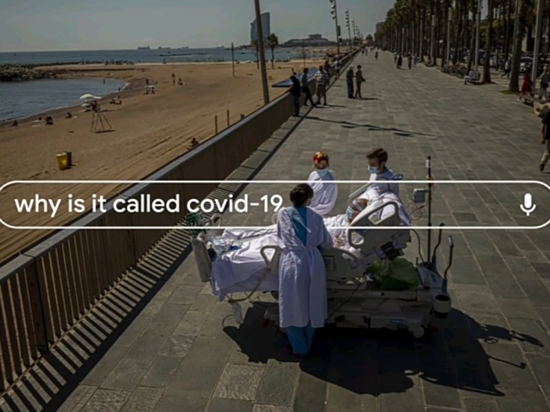 Le ricerche del 2020 con Google Year in search